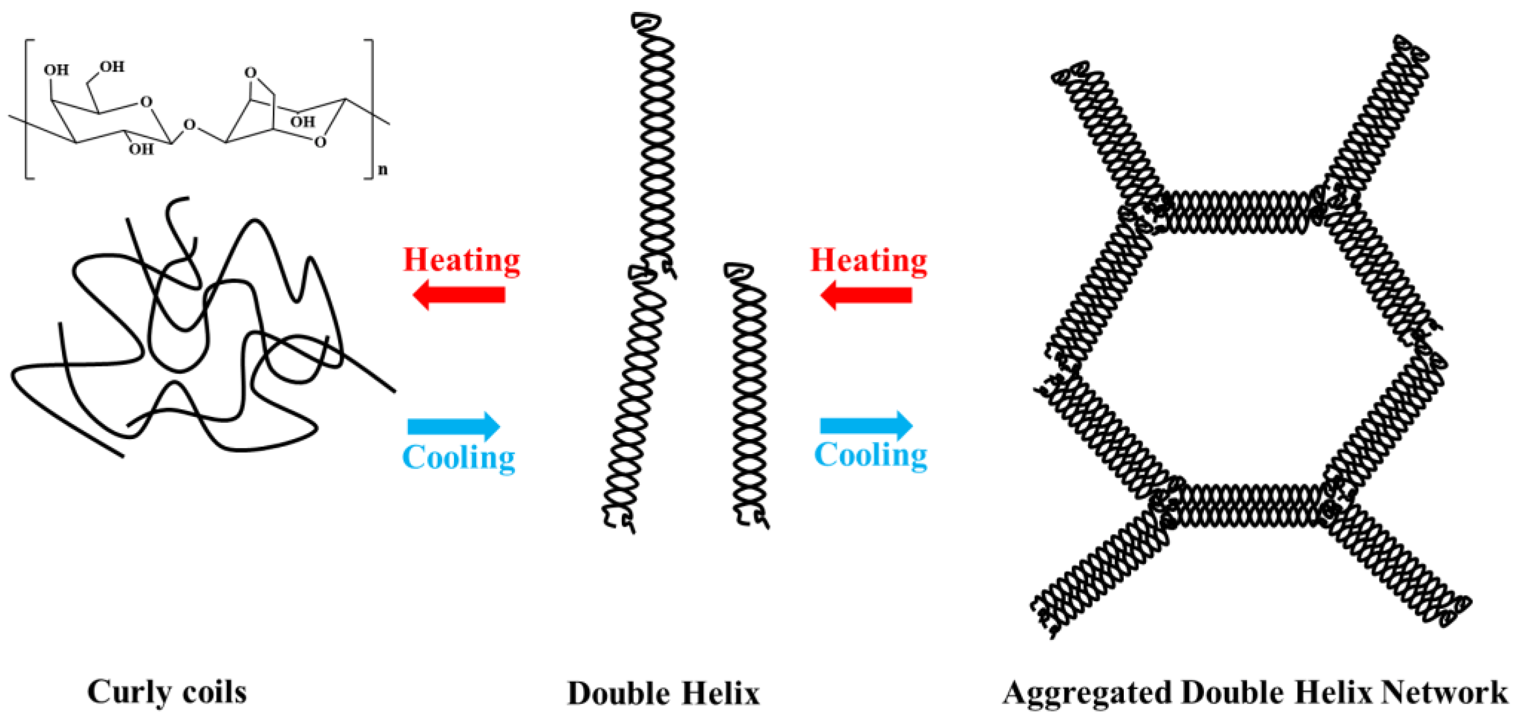 Source: Extraction, Modification and Biomedical Application of Agarose Hydrogels: A Review (https://www.mdpi.com/1660-3397/21/5/299)