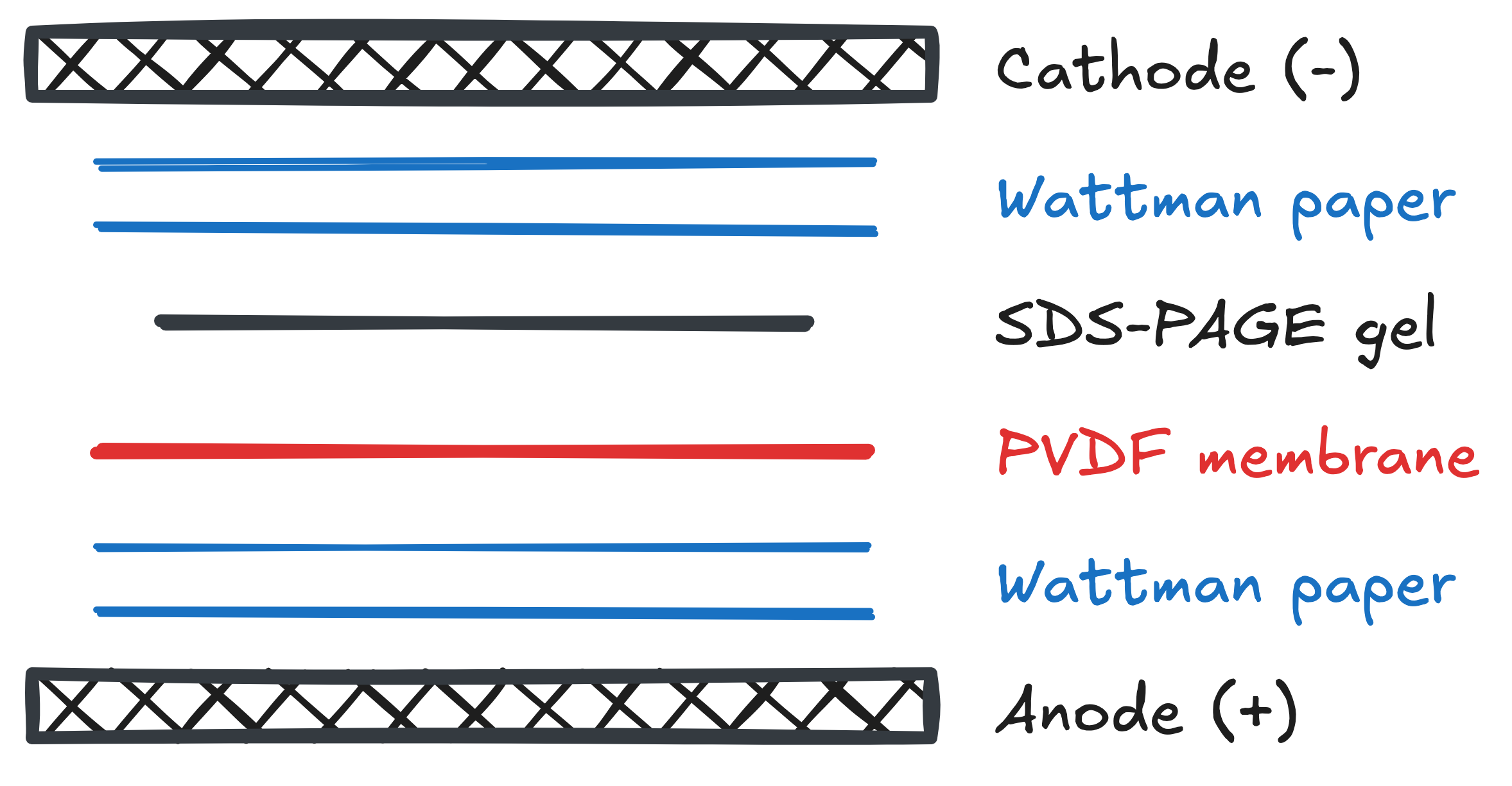 index 2025-12-12 11.18.22.excalidraw|400